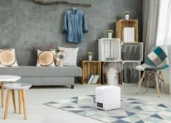 Boneco S250 Digital Steam Humidifier -Home Furnishings Store s250 boneco image living room landscape 01 highres