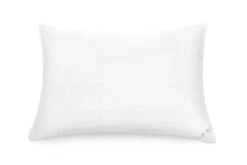 SmartSilk Silk Lined Pillow